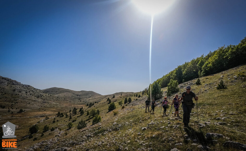 Čabulja Velika Vlajna